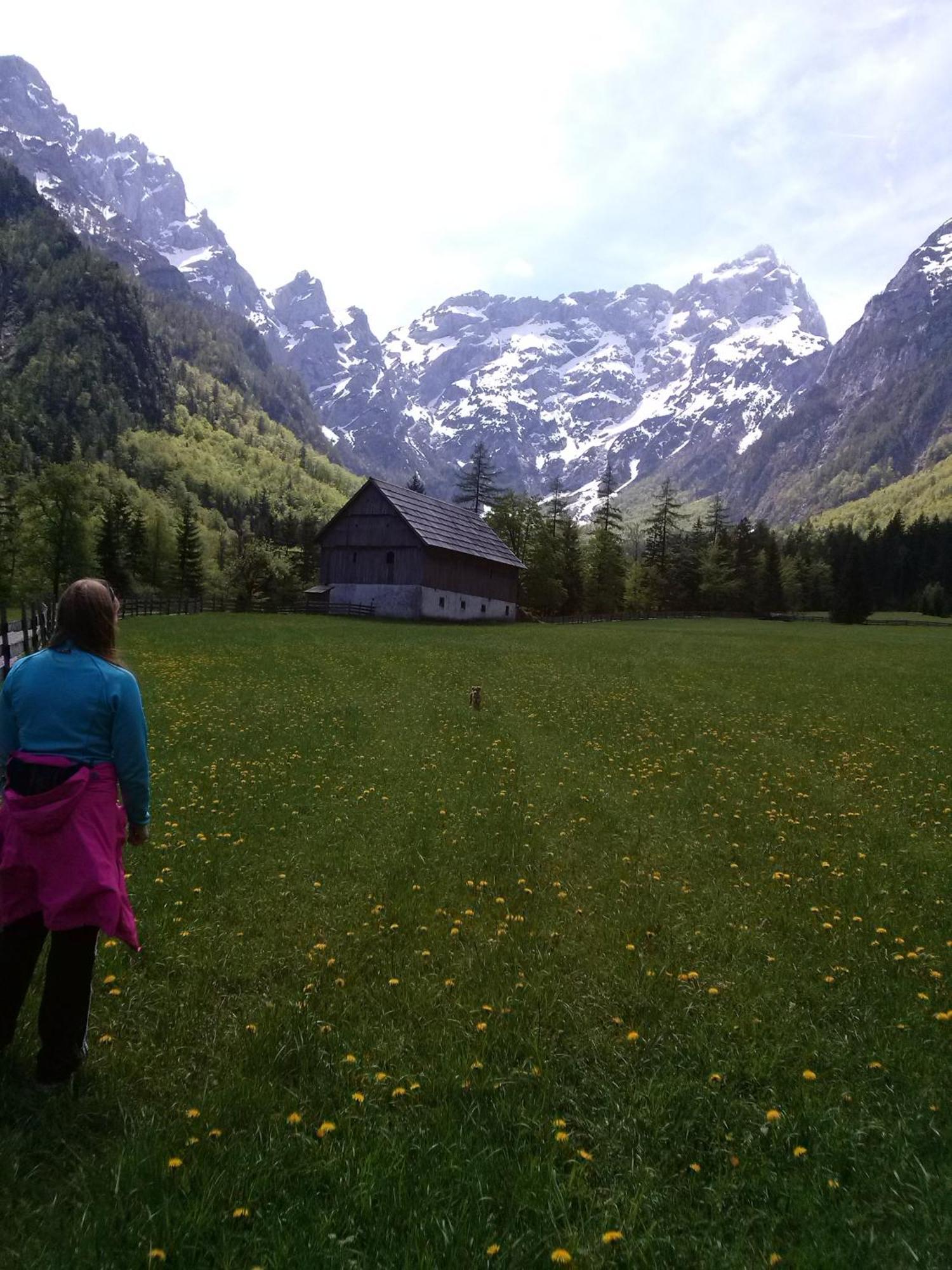 Farmhouse Stiftar Solčava Dış mekan fotoğraf