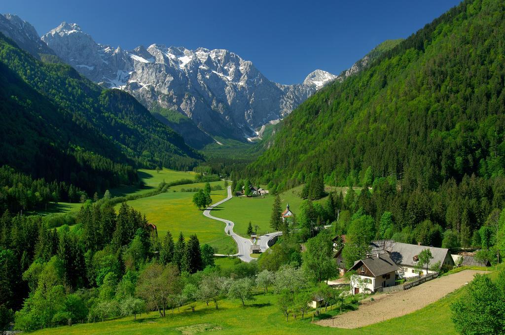 Farmhouse Stiftar Solčava Dış mekan fotoğraf