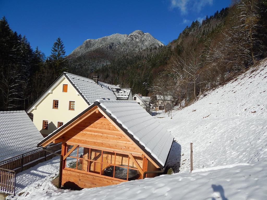 Farmhouse Stiftar Solčava Dış mekan fotoğraf
