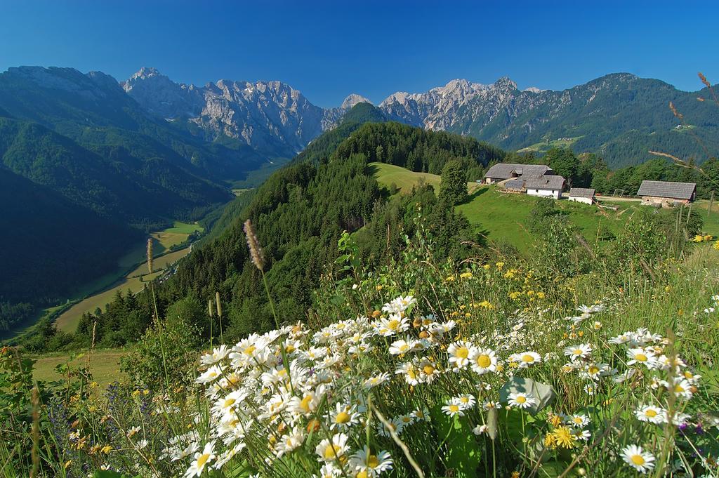 Farmhouse Stiftar Solčava Dış mekan fotoğraf